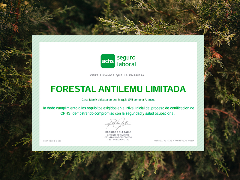 Forestal Antilemu celebra la obtención de su estrella ACHS en Seguridad y Salud Ocupacional