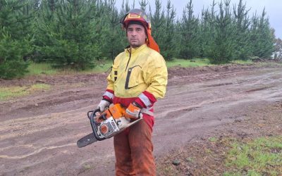 Miguel Bustos Silva, trepador forestal que escala gigantes verdes