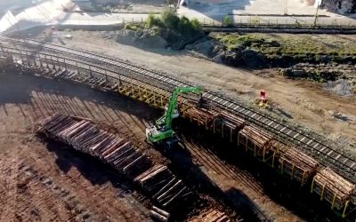 Antilemu: Innovación y eficiencia en el servicio de carguío en cancha en zona Valdivia